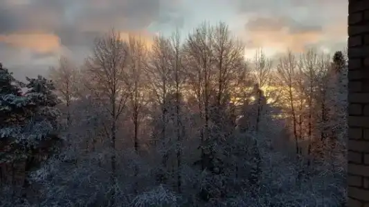 Бобровниково - 27