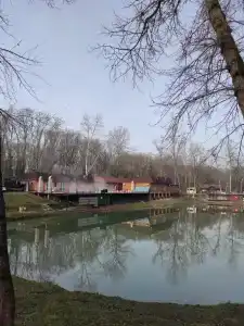 Комарово клуб - 52