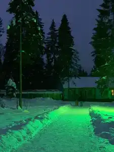 Зелёный остров - 49