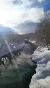Росинка - 28