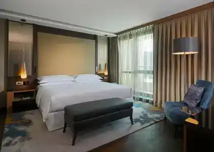 Sheraton Grand Tbilisi Metechi Palace - 48