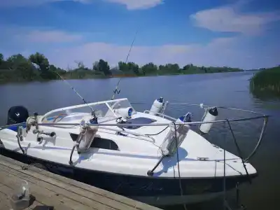 Заманиха - 41