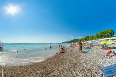 Ростовчанка - 66