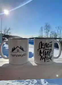 Дом на берегу Ладоги Tervunjoki - 5