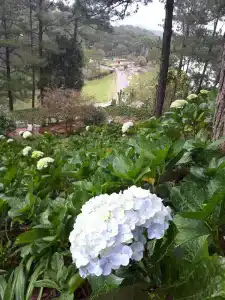 Duyen Ha Resort Cam Ranh - 20