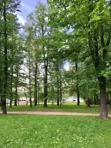 Баринова Роща - 12