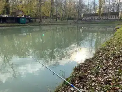 Комарово клуб - 25