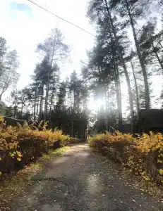 Улыбышево - 62