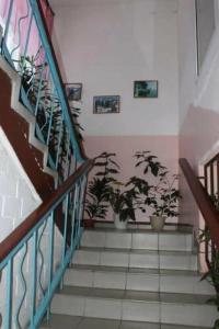 КарелОнего - 1