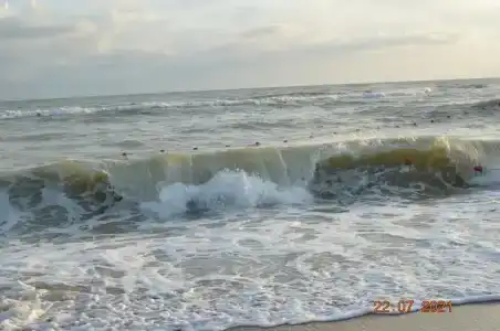 Белый Берег - 41