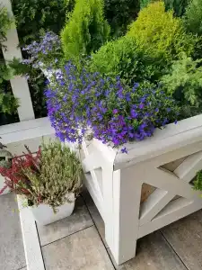 РиверСайд - 23