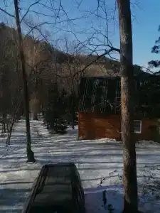Простоквашино - 15