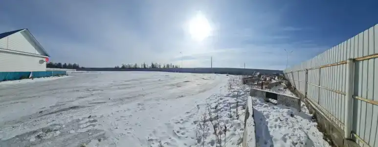 Светлана - 19