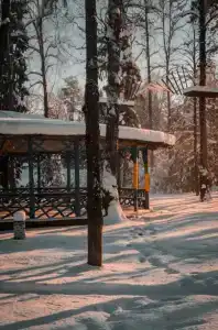 Веста - 5