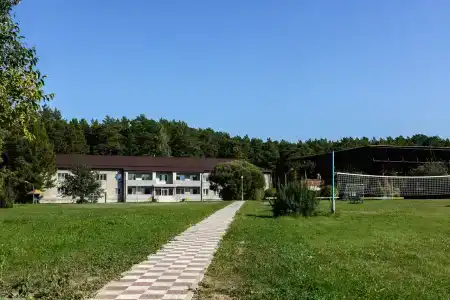 Сосны - 0