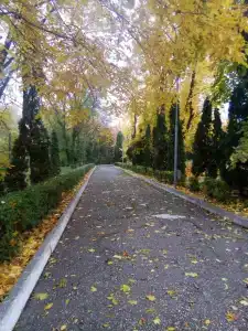 Центральный Детский санаторий - 38