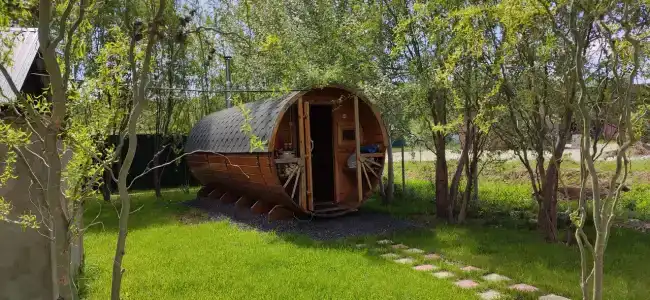 Мечта - 11