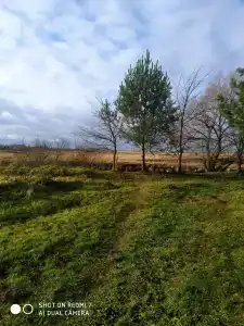База отдыха у Василича - 2