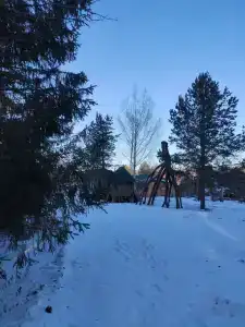 Живица - 48