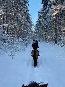 ХвояХутор - Казачий Курень - 26