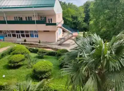 Сосновый - 21