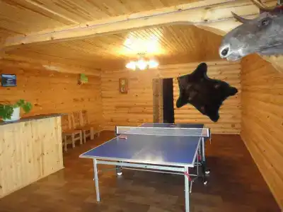 Снегири - 11