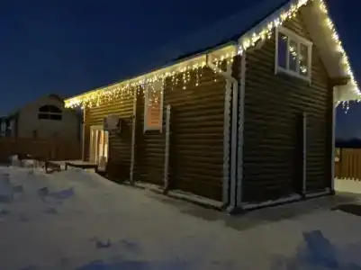 Сабельницы - 21