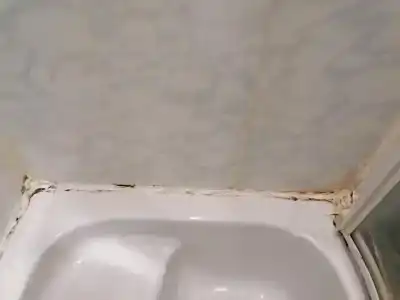 Загородный - 32