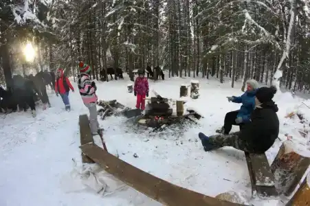 Конная база в Михайловском - 92