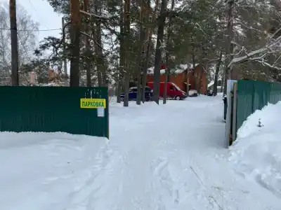 Березовая роща - 74