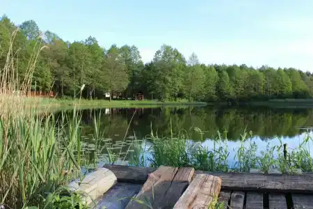 Лесной Эдем - 73