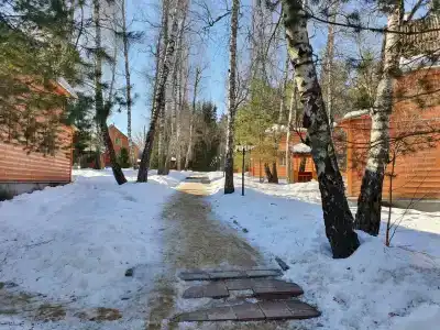 Березовая роща - 54