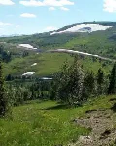 Радомира - 28