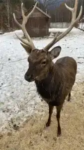 Солонечный - 49