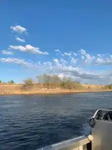 Фид-Джиг - 12