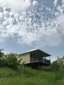 Берёзники - 15