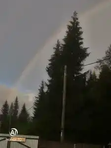 Гостевой Дворик - 40