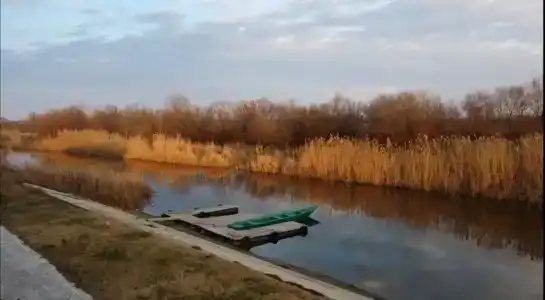 Затишье - 23