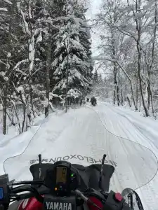 Снегоходия - 40