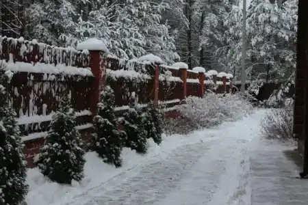 Лесной Эдем - 16