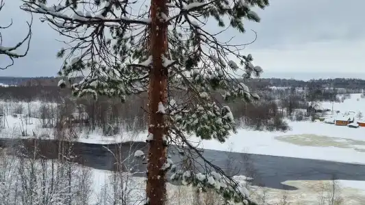 Медвежий угол - 78