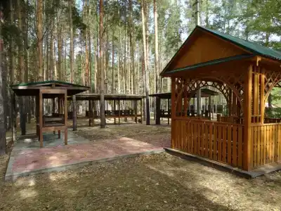 Питомник - 13