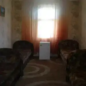 Радомира - 31