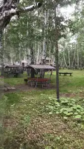 Солнечная поляна - 21