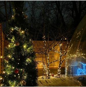 Bubble Dacha - 2