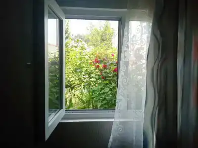 Лесной уголок - 8