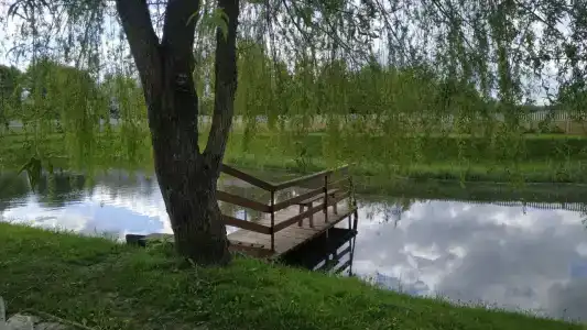 Тихая заводь - 9