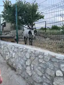 Riga Village Resort - 34