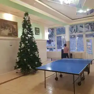 Сосновый - 24