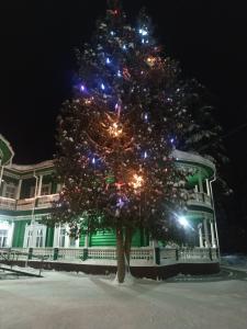 Зеленый городок - 24